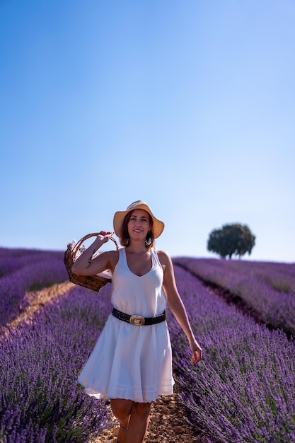 Lebensstil eine Frau in einem Sommerlavendelfeld, das Blumen pflückt