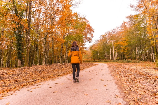 Lebensstil, eine junge Brünette in einer gelben Jacke, die in einem Wald im Herbst geht. Artikutza Wald in San Sebastin, Gipuzkoa, Baskenland. Spanien