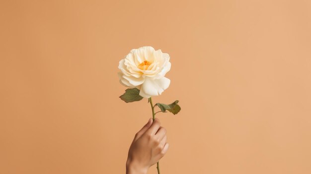 Lebhafte gelbe Blume auf farbenfrohem Hintergrund, die zarte Schönheit und Frische zur Schau stellt