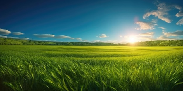 Lebhafte Sommerlandschaft mit üppigem grünen Grasfeld und blauem Himmel