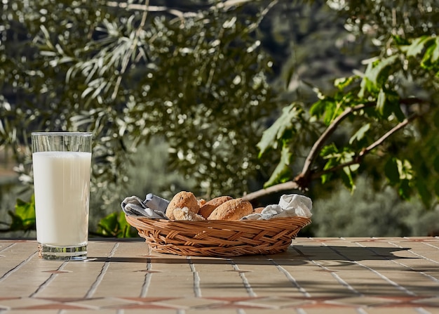 Leche fresca y pan en la mesa sobre fondo de naturaleza