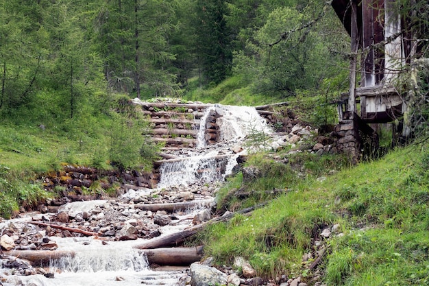 Lecho de un arroyo de montaña fijado con troncos en los Dolomitas italianos