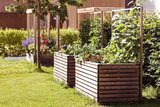 Lecho elevado para cultivar verduras y hierbas en Garden Yard. Cosecha propia, Jardinería en Patio Comunitario