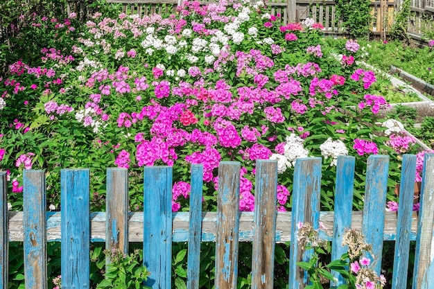 Lecho de flores detrás de una antigua valla de madera junto a la casa del pueblo