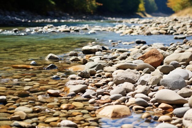 Lecho de río rocoso con agua clara que fluye sobre suave