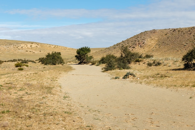 Foto lecho del río seco en el desierto, desierto de gobi, mongolia