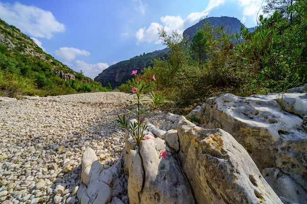 Foto lecho de río seco con piedras blancas y grandes rocas en el valle de la montaña.