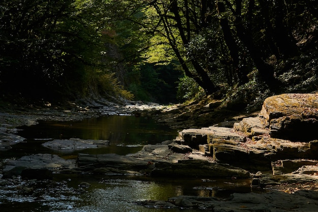 Lecho rocoso de un arroyo de montaña con cascada de piscinas en un desfiladero en un bosque lluvioso