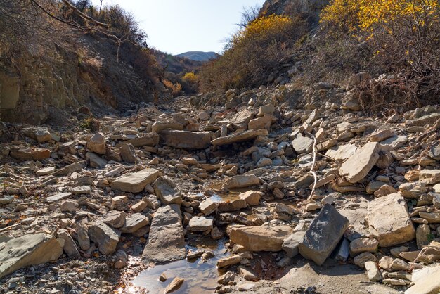 Lecho seco de un río de montaña