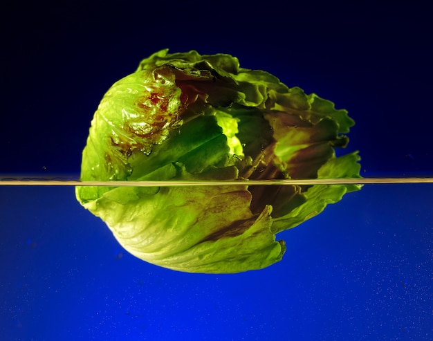 Lechuga en agua