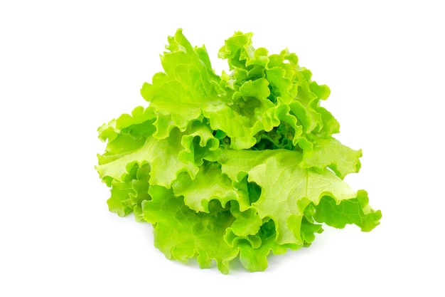 Lechuga aislado en blanco