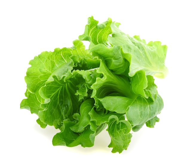 Lechuga de cabeza de mantequilla aislada