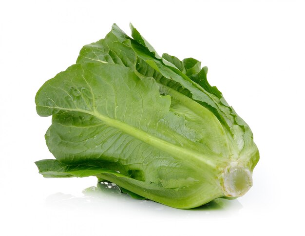 Lechuga Cos aislada en blanco