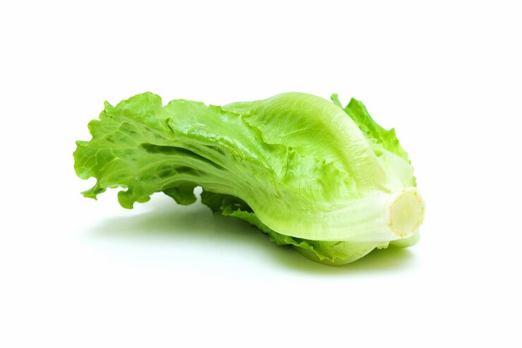 Foto lechuga fresca aislada sobre un fondo blanco