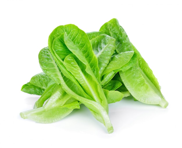 Lechuga fresca Cos sobre un fondo blanco