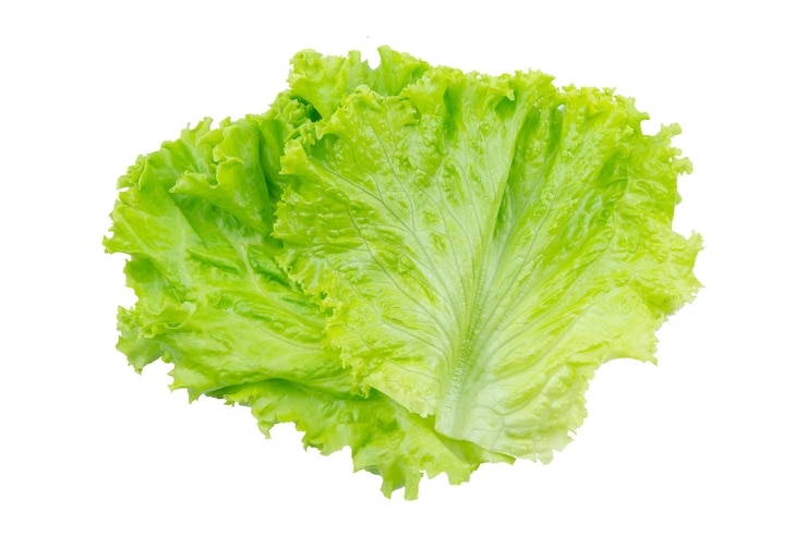 Foto lechuga. hoja de ensalada aislada sobre fondo blanco con trazado de recorte
