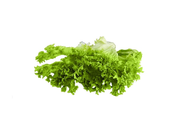 Lechuga de hoja verde de frescura sobre blanco