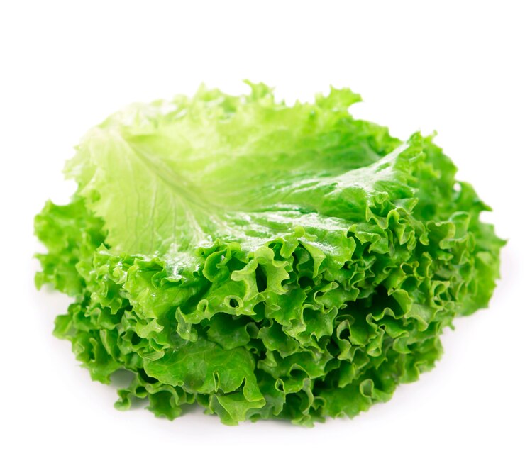 Foto lechuga de hoja verde de frescura sobre superficie blanca