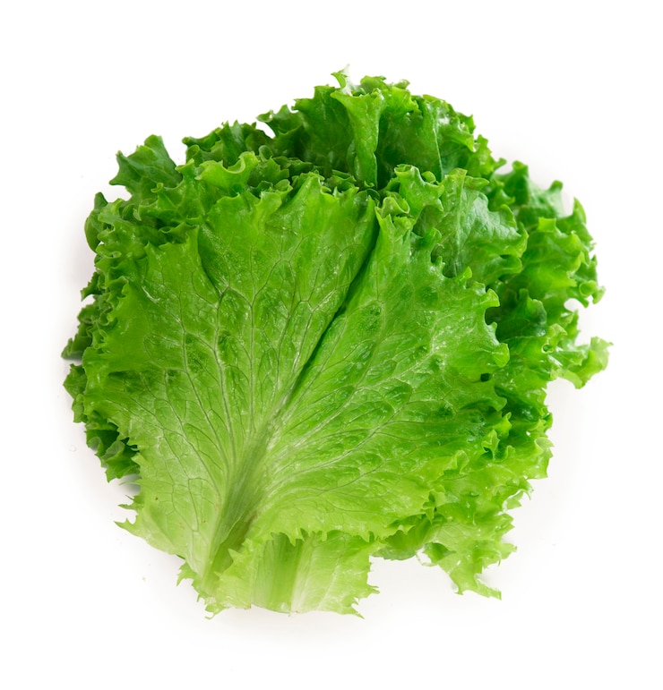 Foto lechuga de hoja verde de frescura sobre superficie blanca