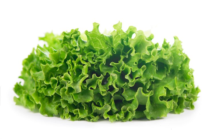 Foto lechuga de hoja verde de frescura sobre superficie blanca