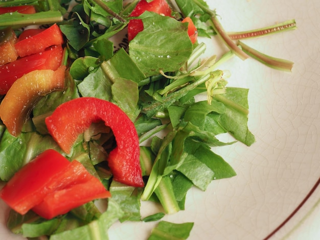 Lechuga y pimientos rojos