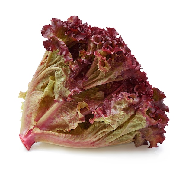 Lechuga de roble rojo sobre fondo blanco.