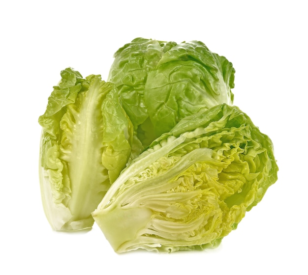 Lechuga romana aislado en blanco