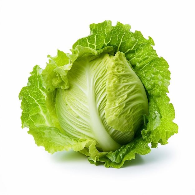 Lechuga para la venta sobre fondo blanco