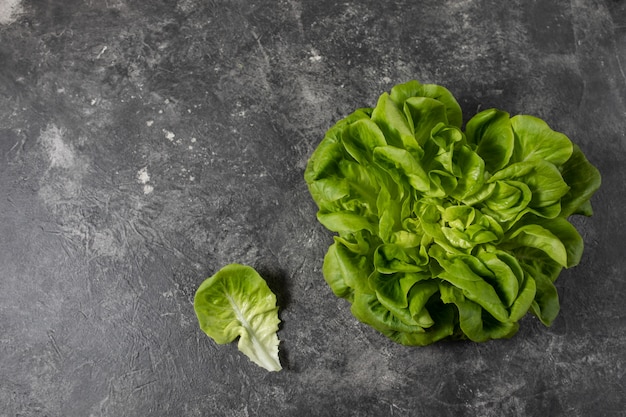 Lechuga verde fresca sobre un fondo oscuro