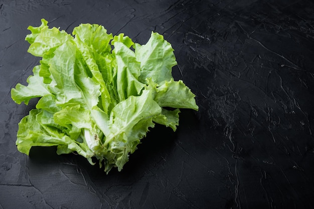 Lechuga verde orgánica cruda, roble, sobre fondo negro con espacio para copiar texto