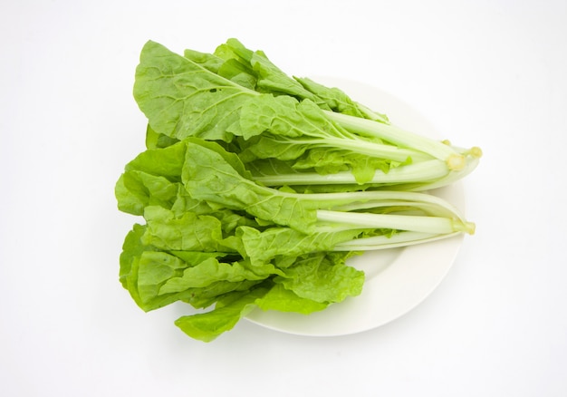 Lechuga verduras en plato