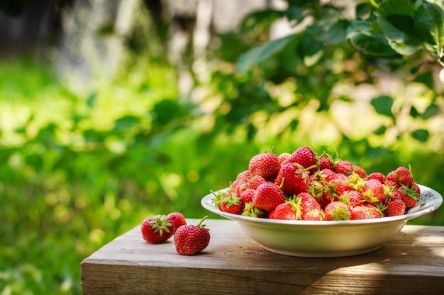 Leckere Erdbeeren auf dem Teller im Garten