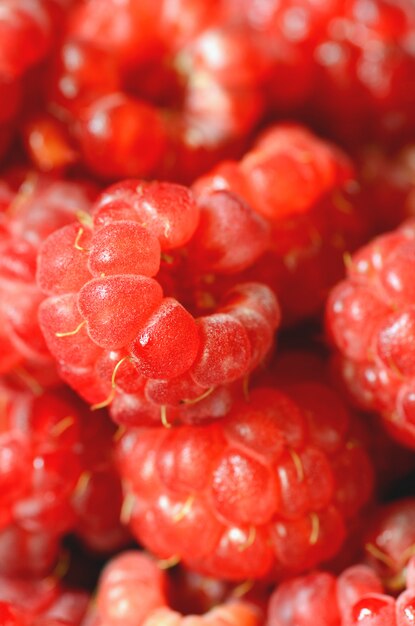 Leckere frische Himbeeren