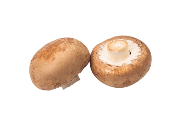 Leckere Pilze lokalisiert auf Weiß