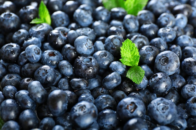 Leckere reife Blaubeeren mit grünen Blättern schließen