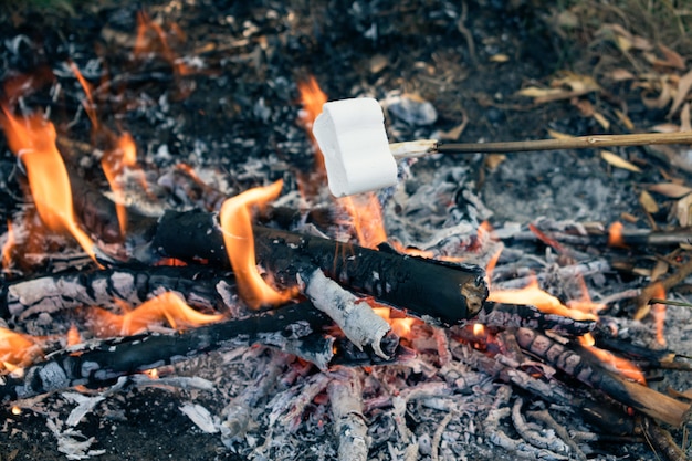 Leckere und süße Marshmallows