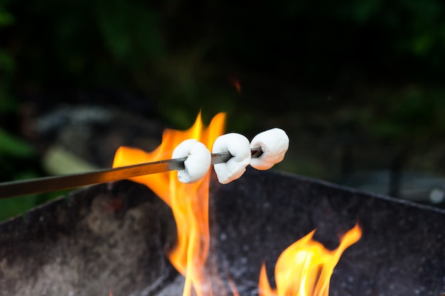 Leckereien für Kinder auf dem Scheiterhaufen. Gebratener Marshmallow