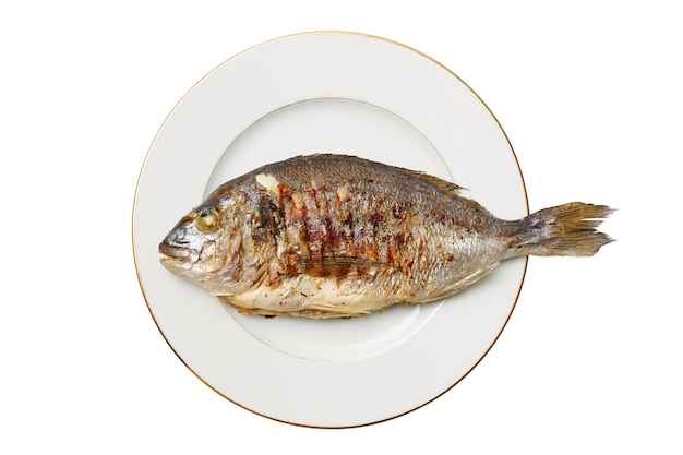 Leckerer appetitlicher Dorado gebratener Fisch liegt auf einem weißen Teller