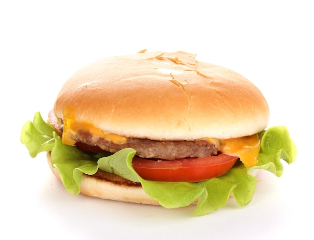 Leckerer Cheeseburger isoliert auf Weiß