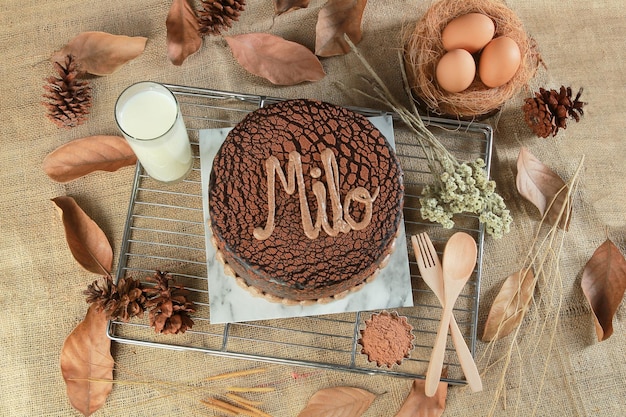 Leckerer Schokoladenkuchen Milo Schokoladenkuchen