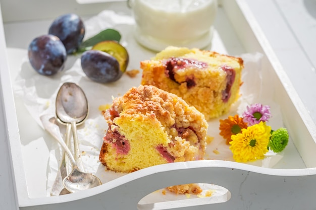 Leckerer und frischer Pflaumenkuchen an sonnigen Tagen