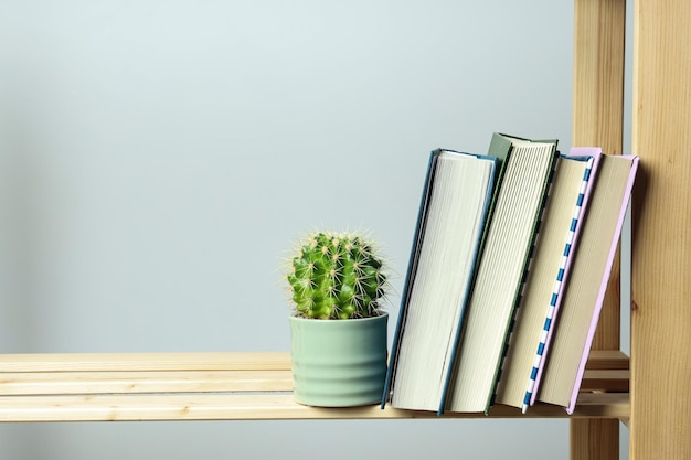 Lectura de varios libros de concepto de literatura espacio para texto