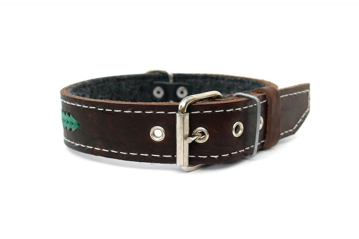 Foto leder tierhalsband isoliert