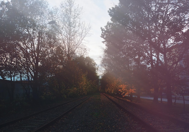 Leere alte Eisenbahnschienen mit Lichtstrahlen