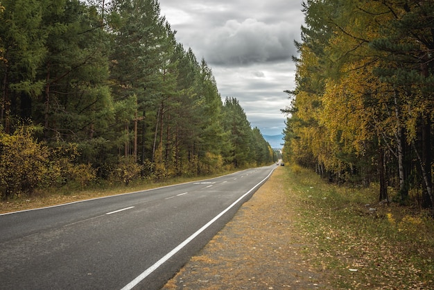 Leere Asphaltstraße entlang eines Herbstwaldes mit goldenem Herbstlaub, die sich in die Ferne zu den nebligen Bergen erstreckt