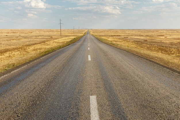 Leere Asphaltstraße über die Steppe, Kasachstan.