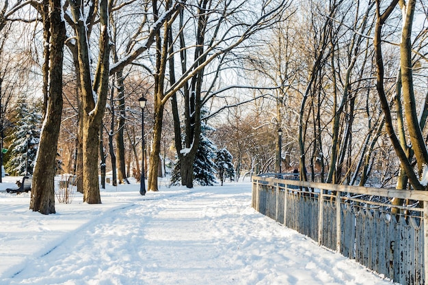 Leere Bänke im Winterpark mit Schnee bedeckt