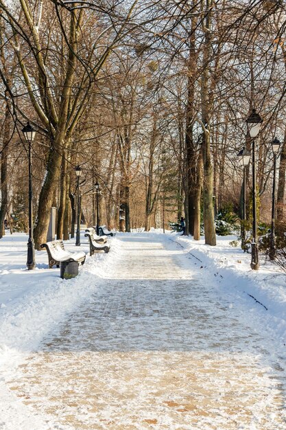 Leere Bänke im Winterpark mit Schnee bedeckt