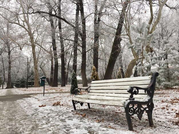 Foto leere bank im park im winter