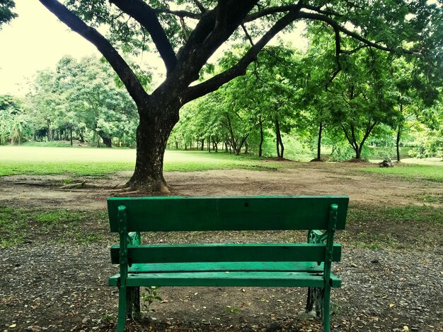 Foto leere bank im park